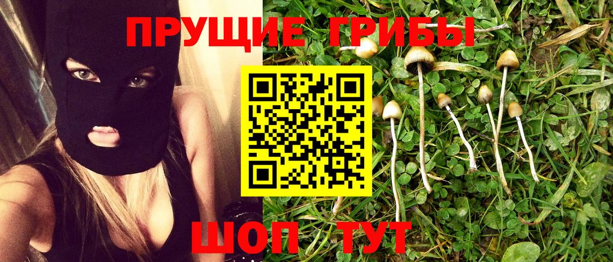 Псилоцибиновые грибы Magic Shrooms  Вход с VPN  Вятские Поляны  Галлюциногенные грибы Psilocybine cubensis 