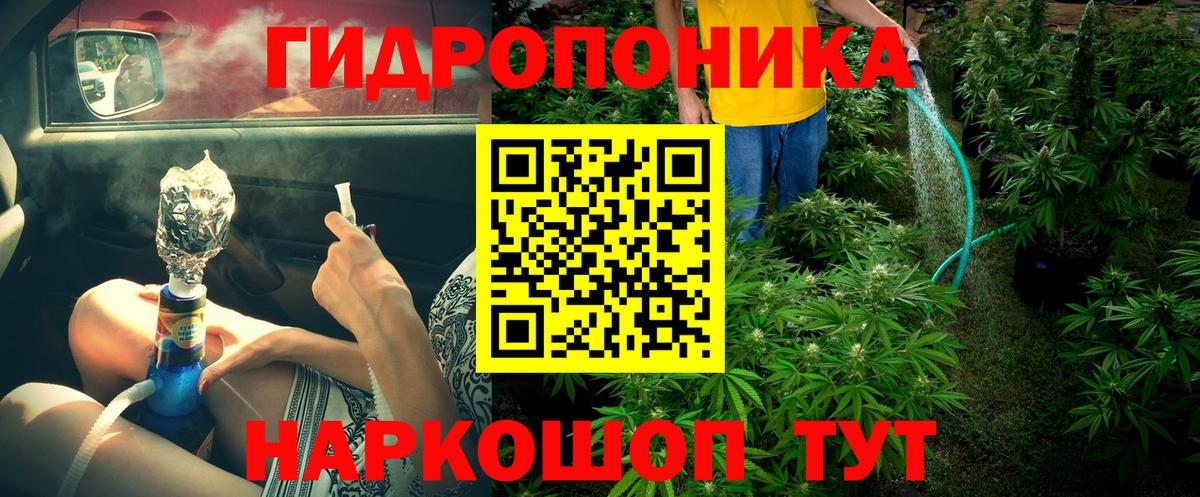 Конопля AK-47  Вход с VPN  Конопля Bruce Banner  Вятские Поляны  Бошки Шишки SATIVA & INDICA 